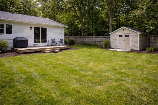 Clean backyard after pet waste removal